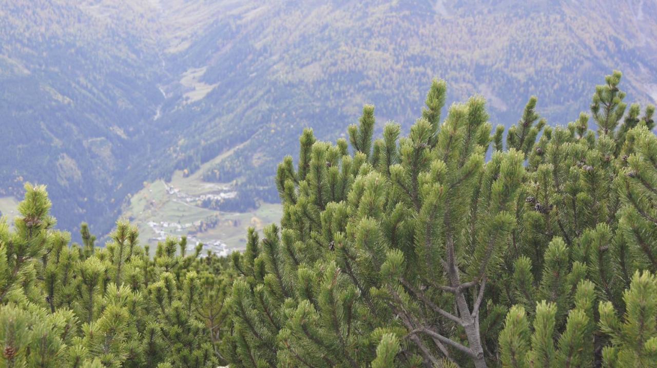 Landhaus Zangerl - Kobelerhof Landeck Bagian luar foto